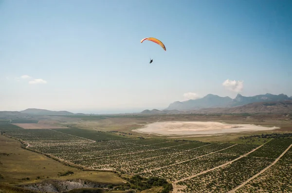 Person som flyger på paraglider — Gratis stockfoto