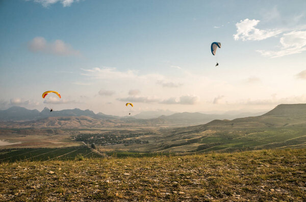 people flying on paragliders