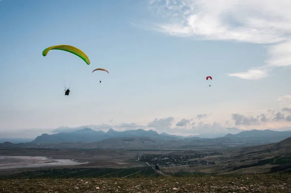 people flying on paraplanes