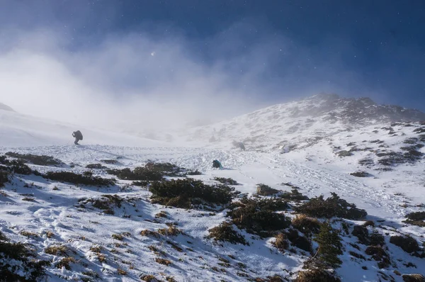 landscape with snowy mountains