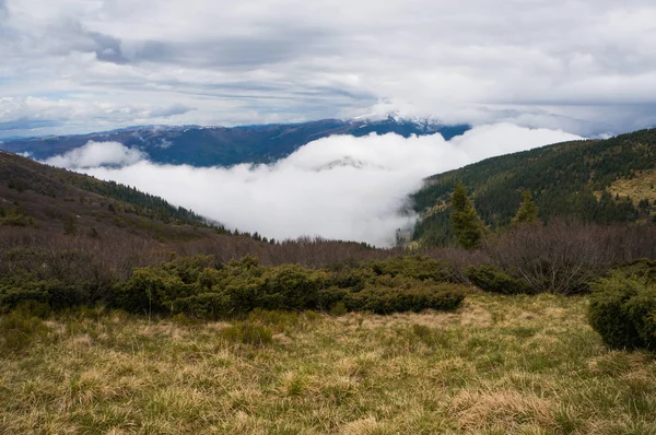 beautiful scenic landscape 