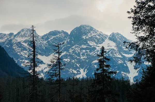 Зимові гори краєвид — стокове фото