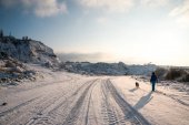 Frau und Hund gehen auf verschneiter Straße spazieren