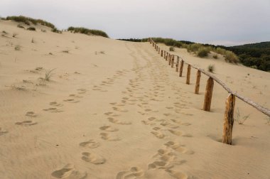 sendy beach with footprints clipart