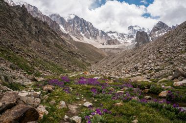 güzel rocky Dağları