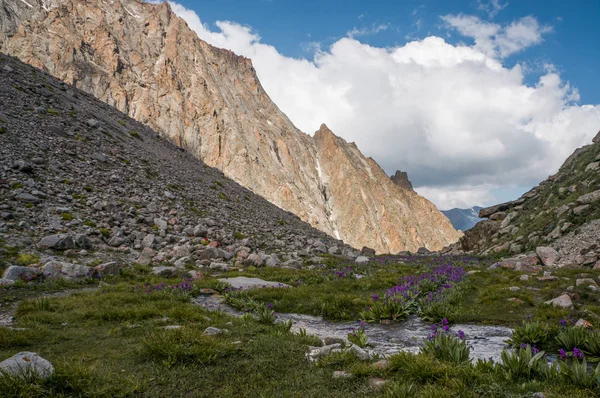 Hermosas montañas rocosas — Foto de stock gratis