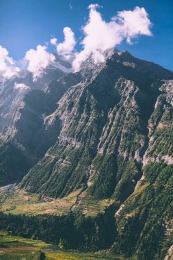 görkemli rocky Dağları ve Hint Himalayalar yaprak dökmeyen ağaçlar