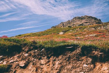 görkemli dağ manzarası ile Hint Himalayalar, Rohtang Pass güzel çiçek açan çiçekler