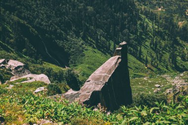 huge stones and green plants in scenic mountains, Indian Himalayas, Rohtang Pass clipart