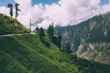 güzel ağaçlar ve road arabaya doğal dağlar, Hint Himalayalar, Rohtang Pass ile  