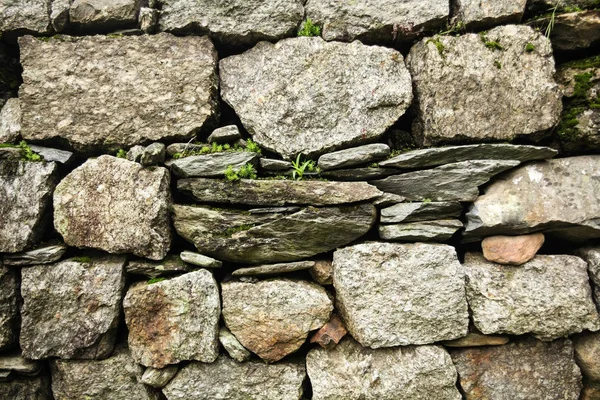 Vista Perto Parede Pedra Plantas Verdes Que Crescem Através Pedras — Fotografia de Stock