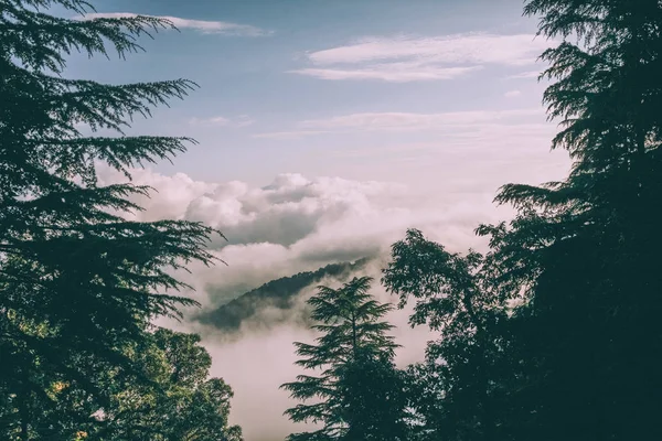 Alberi Sempreverdi Splendide Montagne Con Nuvole Himalaya Indiano — Foto Stock