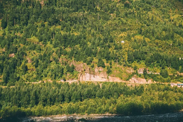 Majestatyczne Góry Krajobraz Zielonych Drzew Indyjskich Himalajach Manali — Darmowe zdjęcie stockowe