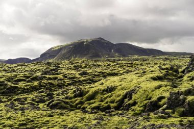 majestic landscape with mountains and moss in Iceland  clipart