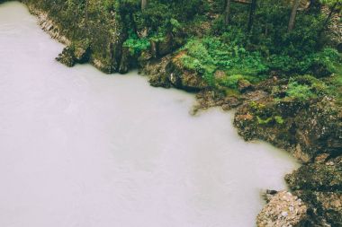 beautiful lake and green plants in Altai, Russia clipart