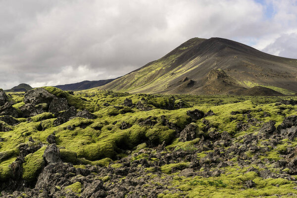 majestic landscape with scenic mountains and moss in Iceland 