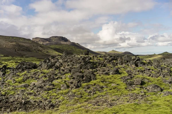 Beautiful Landscape Mountains Moss Iceland — Free Stock Photo