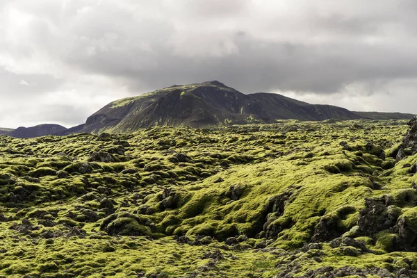 冰岛有高山和苔藓的雄伟景观 — 图库照片