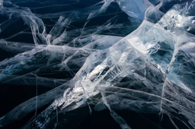 Close up of ice layer over twigs of trees, Russia, Lake Baikal