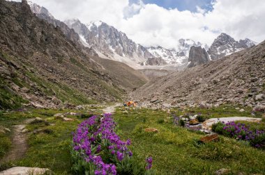 view of meadow with stones and flowers against footpath on foot of rocks, Ala Archa National Park, Kyrgyzstan clipart