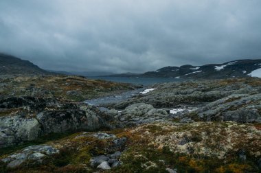 Göl ile kayalık arazi görünümünü, Norveç, Hardangervidda'da Milli Parkı çevrili arka plan üzerinde