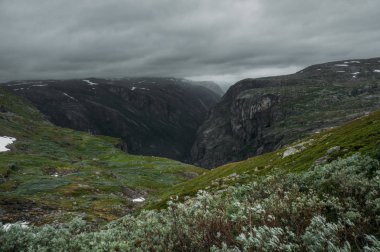 çimenli yamaçları kayalar sırasında sisli hava, Norveç, Hardangervidda'da Milli Parkı