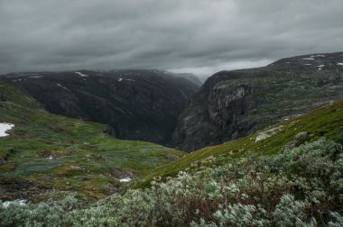 grassy slopes of rocks during foggy weather, Norway, Hardangervidda National Park clipart