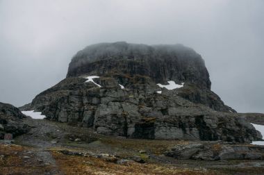 Norveç
