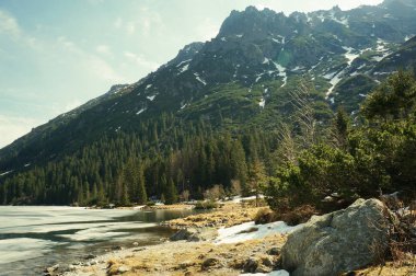 Su ve ağaçlar karşı taşlarla kayalık sahil görünümünü tepe üzerinde arka plan, Morskie Oko, deniz göz, Tatra Milli Parkı, Polonya