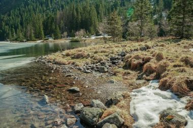 Su ve ağaçlar karşı taşlarla kayalık sahil görünümü arka planda, Morskie Oko, deniz göz, Tatra Milli Parkı, Polonya