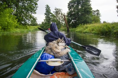Kayak