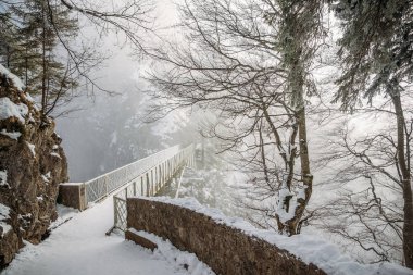 ağaçlar ve kar Neuschwanstein Şatosu, Almanya yakınındaki Bridge'de doğal görünümünü