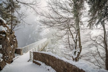 scenic view of trees and bridge in snow near Neuschwanstein Castle, Germany clipart