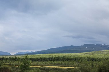 doğal görünümünü bulutlu gökyüzü, dağ ve orman, Altay, Rusya Federasyonu