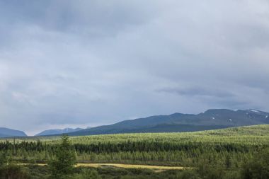 scenic view of cloudy sky, mountains and forest, Altai, Russia clipart