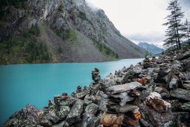 Açık göl, ağaçlar ve dağlar, Altay, Rusya Federasyonu