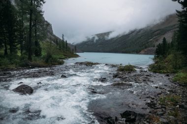 Açık göl, ağaçlar ve dağlar, Altay, Rusya Federasyonu