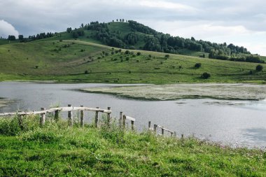 Ağaçlı ve dağlı yeşil vadinin panoramik manzarası, Altai, Rusya
