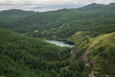 Dev dağlarla kaplı ağaçlar ve dağ gölü, Altay, Rusya