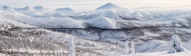 güzel kar kaplı Kış yol ve kar ağaçlarda şapkalı dağlar, kolyma karayolu, Rusya Federasyonu