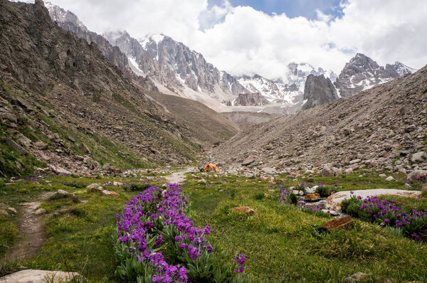 view of meadow with stones and flowers against footpath on foot of rocks, Ala Archa National Park, Kyrgyzstan
