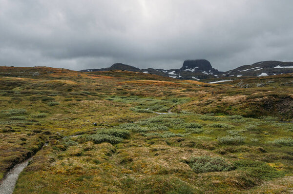 view of field with green grass and rocks on background, Norway, Hardangervidda National Park