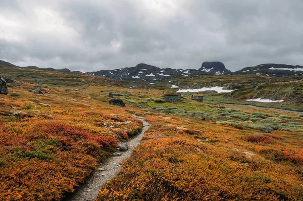 Hardangervidda'da — Stok fotoğraf