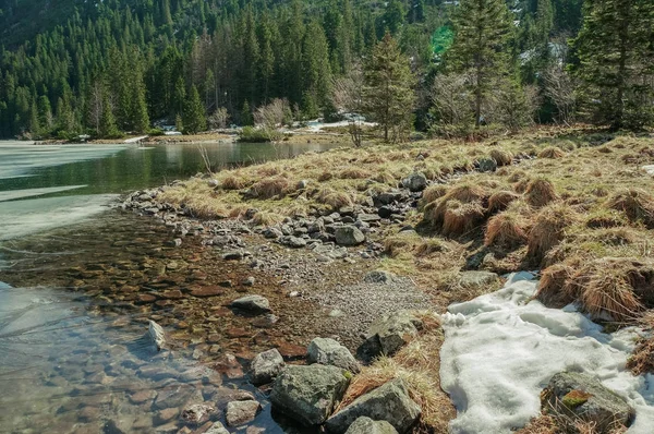 Nézet Sziklás Part Kövekkel Víz Fák Ellen Háttér Morskie Oko — Stock Fotó