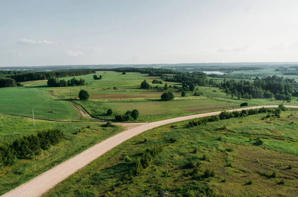 Bältros — Stockfoto