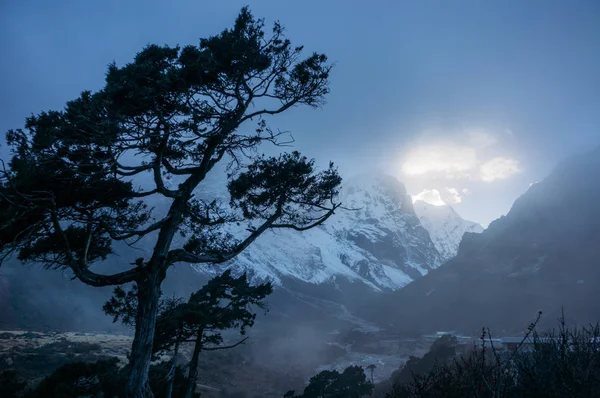 Árvore Céu Noturno Com Luz Solar Nepal Sagarmatha Novembro 2014 — Fotografia de Stock