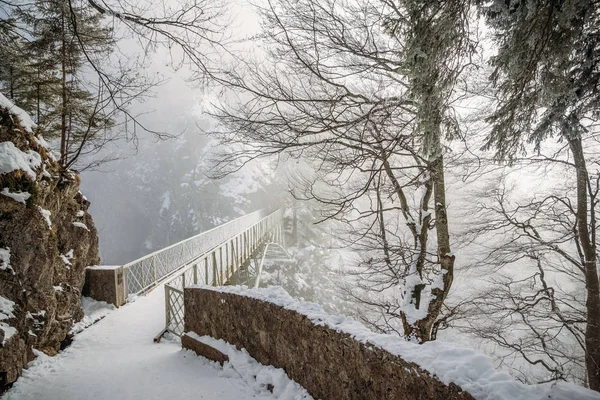 Scenic View Trees Bridge Snow Neuschwanstein Castle Germany — Stock Photo, Image