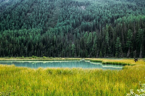 landscape with mountain covered with trees and lake in valley, Altai, Russia