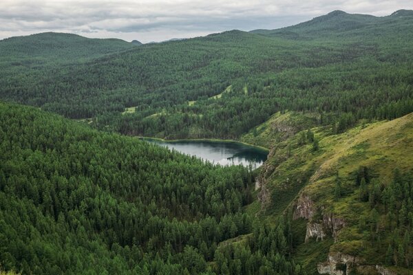 majestic mountains covered with trees and mountain lake in Altai, Russia