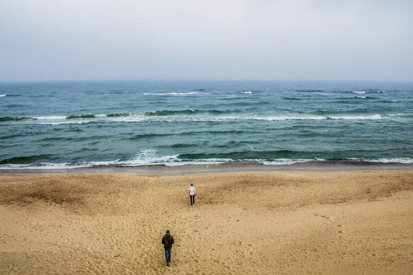 Seashore — Stock fotografie